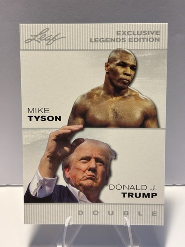 Mike tyson 2024 foglia - mike, *
